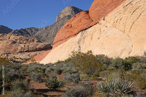 USA, Nevada, Red Rock Canyon. Pan de montagne à la roche rouge et jaune de Red Rock Mountain dans une vallée du désert de buissons secs et de cailloux.