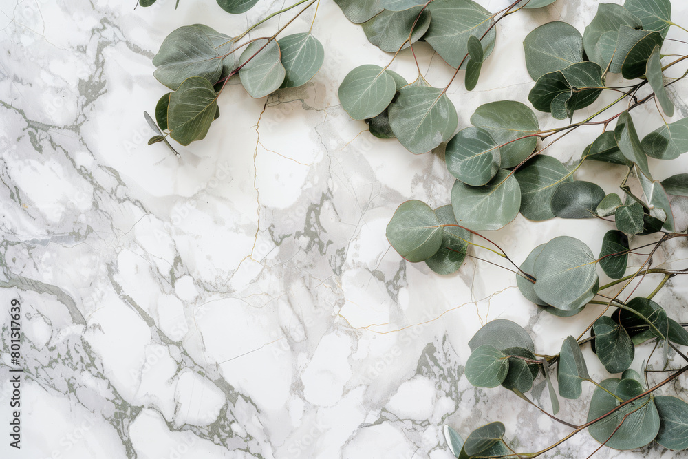 Eucalyptus Branches Over Marble Surface Nature Meets Luxury Eucalyptus Branches Over Marble Surface Nature Meets Luxury