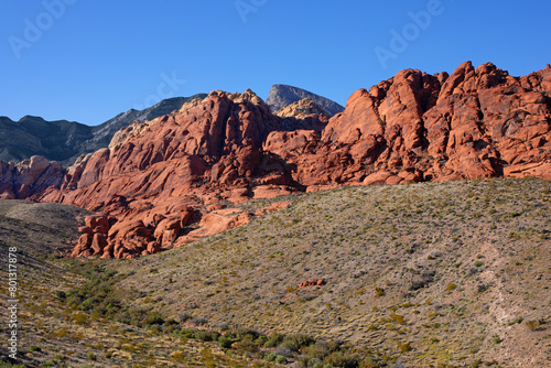 USA, Nevada, Red Rock Canyon. Coulée de rochers rouges depuis une montagne de Red Rock Mountain dans une vallée du désert de buissons secs et de cailloux.