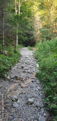 Trail to the Three Crowns peak, Pieniny Mountains, 2023 photo