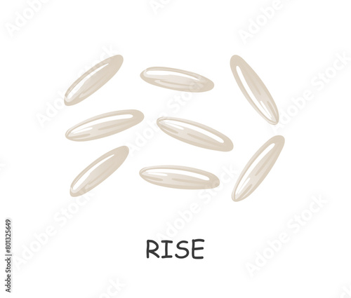 hand drawn rice seeds in cartoon style