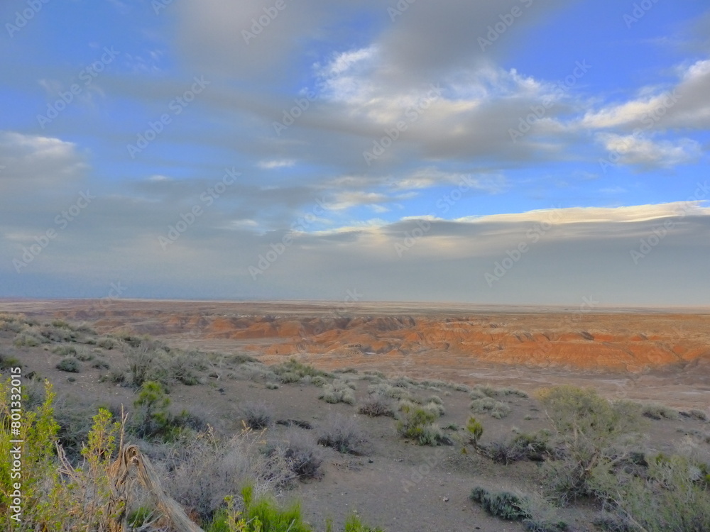 Beautiful Landscape Painted desert Arizona USA
