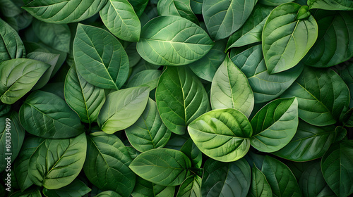 deep fresh green leaves texture background