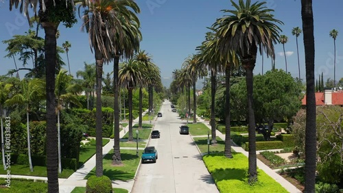 Los Angeles sunny day palm trees Hollywood sign cars road street green trees