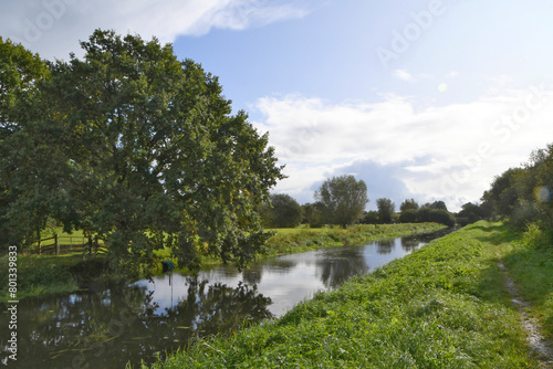 Beautiful landscape view down one of the many waterways in a nature reserve on the Somerset levels in summer