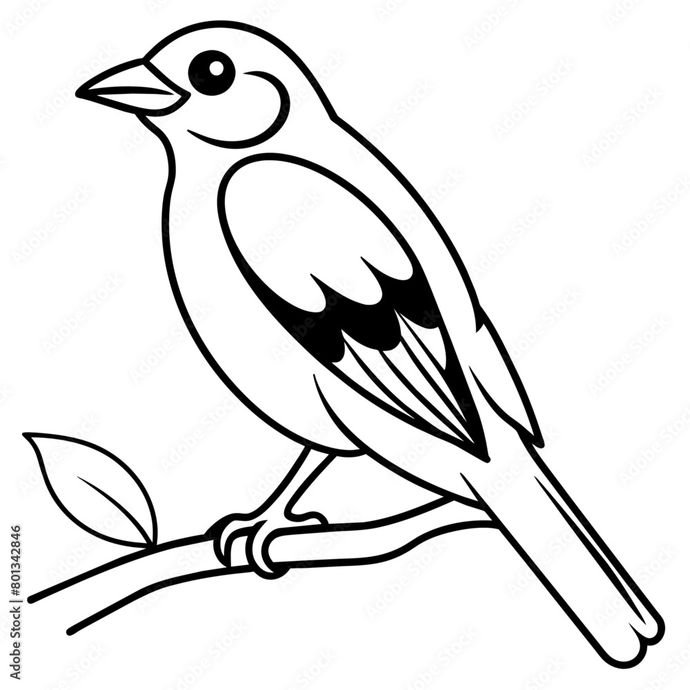 Obraz premium Bird coloring book vector illustration (27)