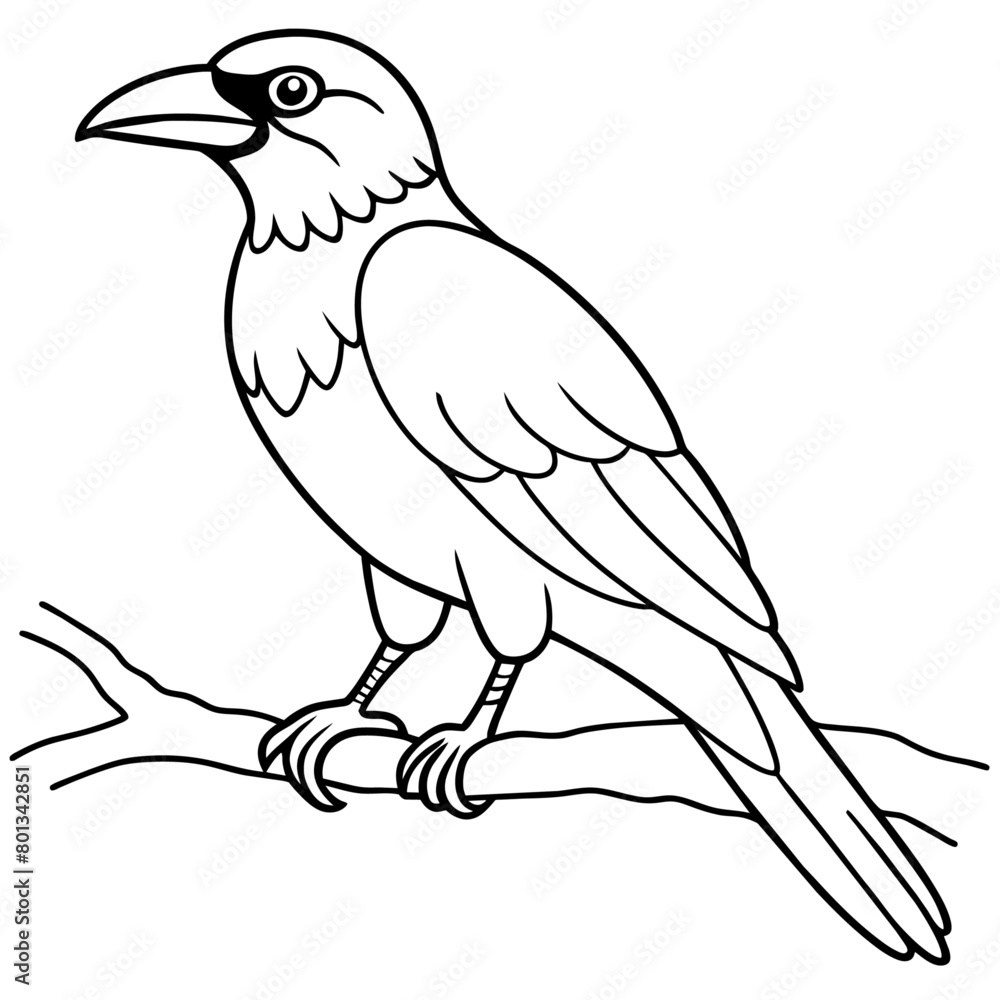 Fototapeta premium Bird coloring book vector illustration (29)