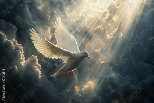 white dove of peace flies out from dark clouds with rays of light