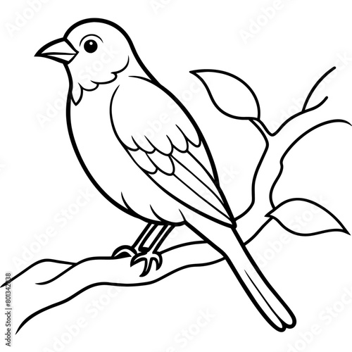 Bird coloring book vector illustration (22)