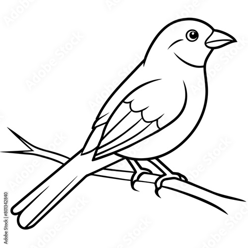 Bird coloring book vector illustration (26)