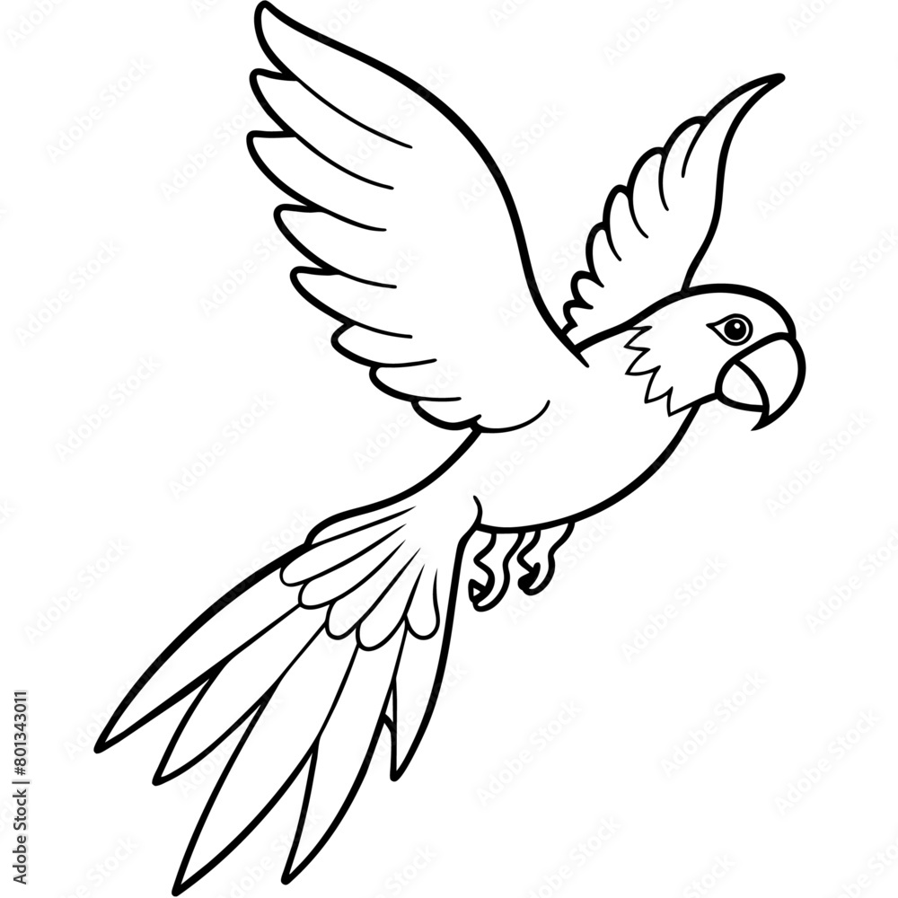Fototapeta premium Bird coloring book vector illustration (47)