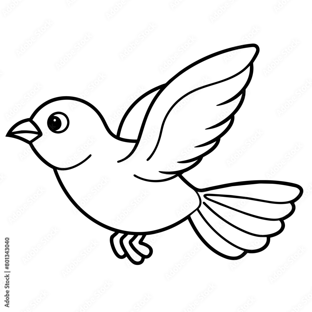 Fototapeta premium Bird coloring book vector illustration (54)