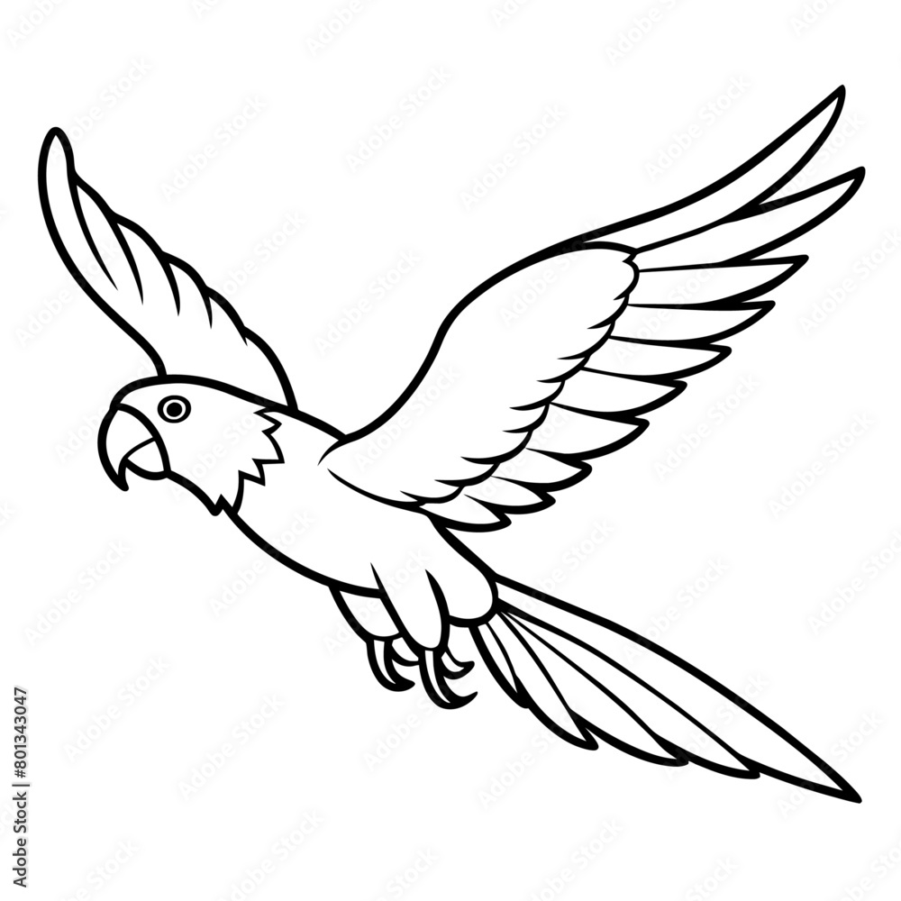 Obraz premium Bird coloring book vector illustration (51)