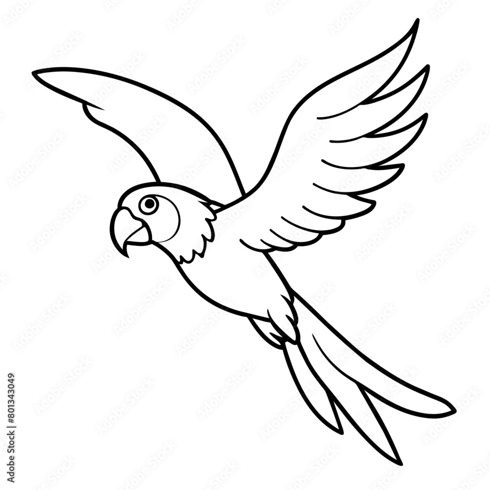 Fototapeta premium Bird coloring book vector illustration (52)
