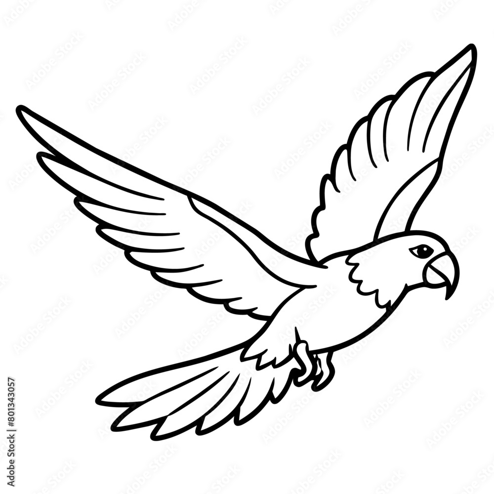 Obraz premium Bird coloring book vector illustration (56)