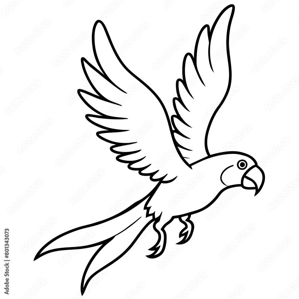 Obraz premium Bird coloring book vector illustration (55)