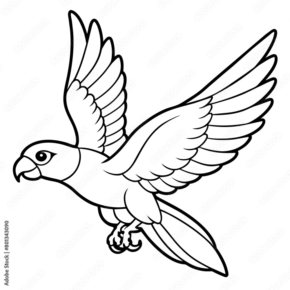 Fototapeta premium Bird coloring book vector illustration (57)
