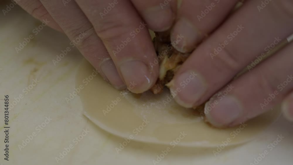 This video shows a macro, close up view of a home made wonton being folded. This video shows a macro, close up view of a home made wonton being folded.