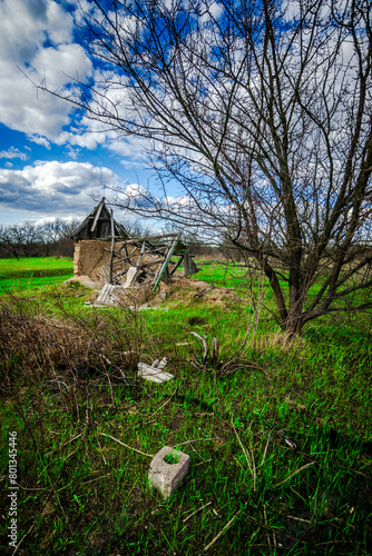 Mystery old dameged house in the forest . House over the field . Green grass and old house . 
Сlay house in forest  photo