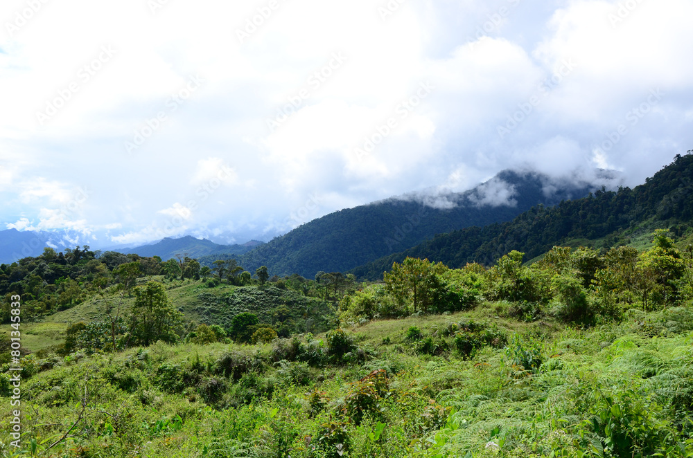 Paisaje Paisaje