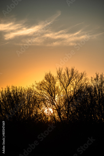 Green field with sunset . Orange sky . Sun over the field . Forest at evening spring time 