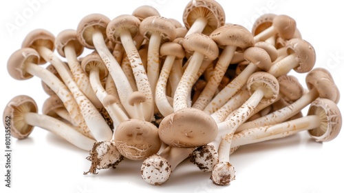 A cluster of fresh, organic white enoki mushrooms against a clean, white background. photo