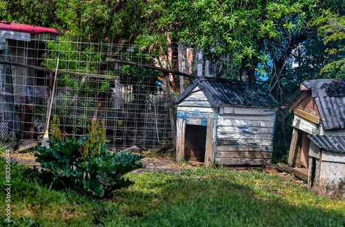 Rustic dog houses in Ushuaia, southern Argentina