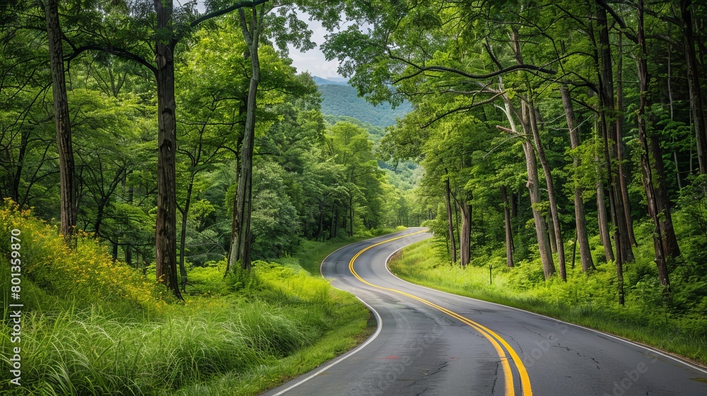 Obraz premium Summer road trip. documenting scenic drives, roadside attractions, and memorable stops along the way