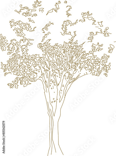 Detailed vector sketch of a side view tree design illustration for completeness of the image