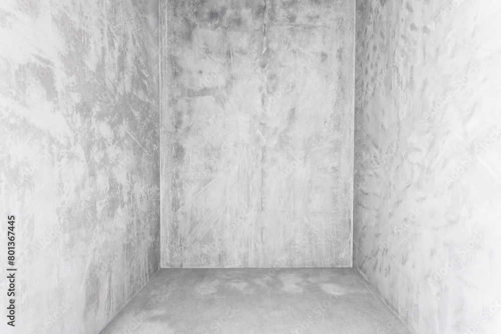 interior of the apartment without decoration in gray colors. rough finish interior of the apartment without decoration in gray colors. rough finish
