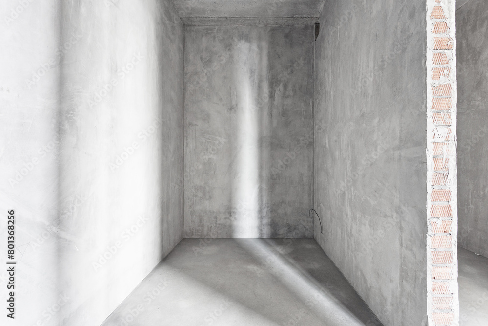 interior of the apartment without decoration in gray colors. rough finish interior of the apartment without decoration in gray colors. rough finish