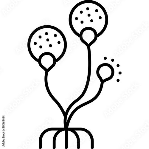Rhizopus Icon