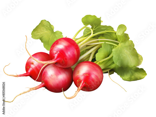 a group of red radishes with green leaves