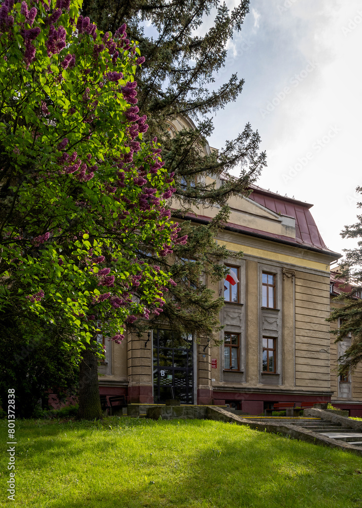 Silesian University building surrounded by lilac bush Silesian University building surrounded by lilac bush