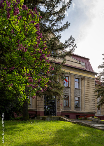 Silesian University building surrounded by lilac bush