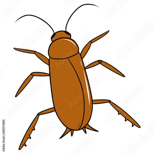 cockroach illustration hand drawn isolated vector	
