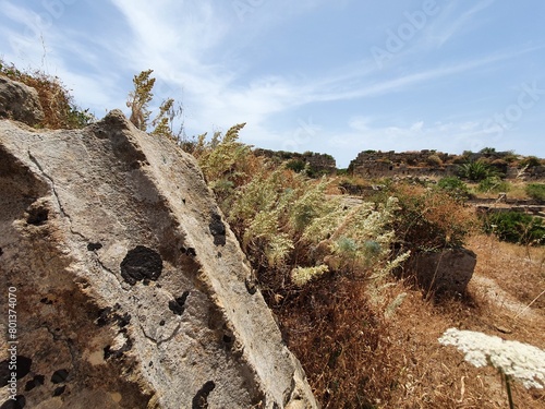 Rovine di Selinunte