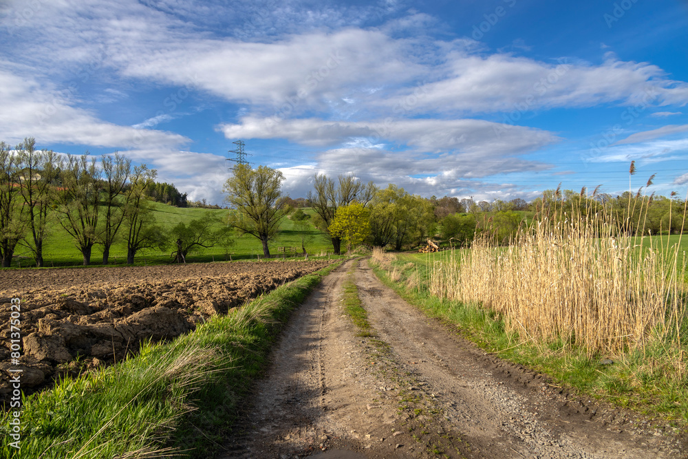 A country road between fields on a beautiful spring day A country road between fields on a beautiful spring day