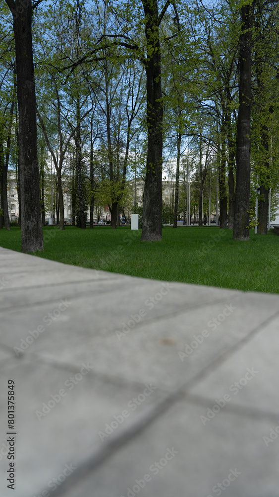 Obraz premium Spring park, high curb, smooth lawn