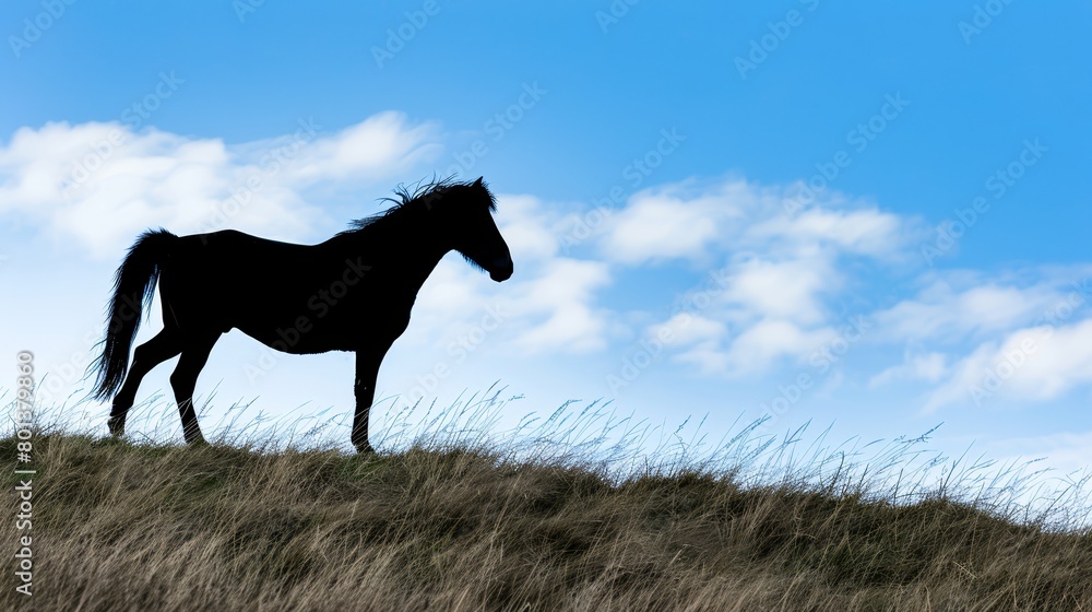 A silhouetted horse atop a grass-covered hill beneath a blue sky dotted with fluffy white clouds A silhouetted horse atop a grass-covered hill beneath a blue sky dotted with fluffy white clouds