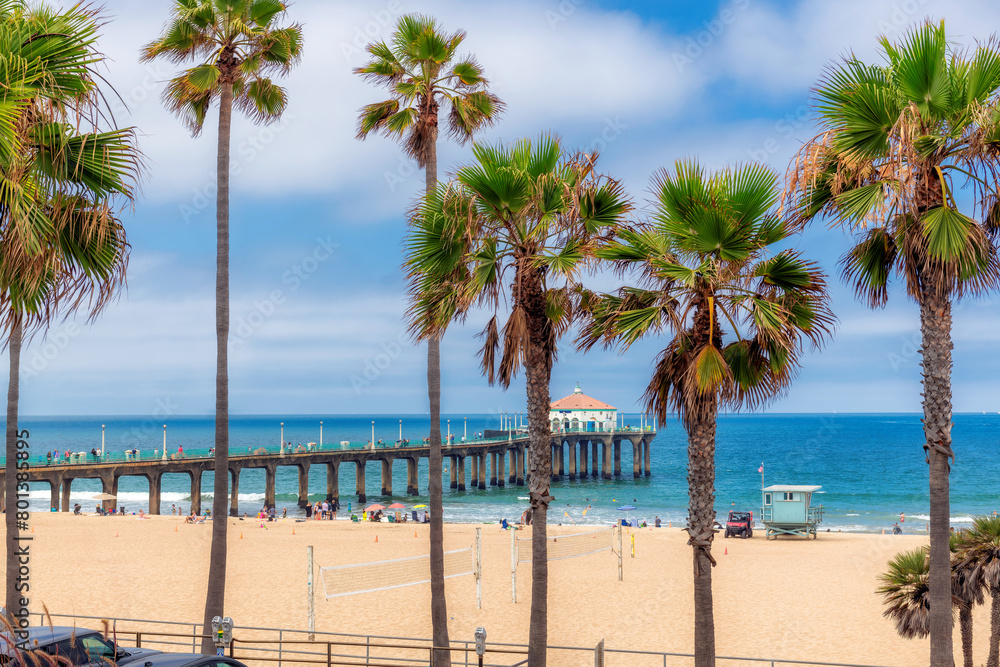 Palm trees in Manhattan Beach and pier in summertime in Los Angeles, Southern California.