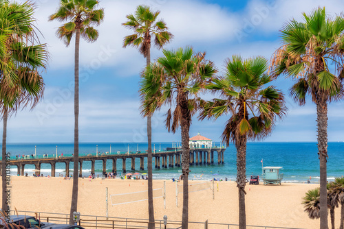 Palm trees in Manhattan Beach and pier in summertime in Los Angeles, Southern California. © lucky-photo