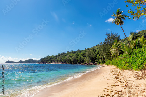Tropical sunny beach with coco palms and the turquoise sea in Caribbean island. Summer vacation and tropical beach concept.	