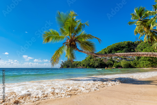 Beautiful tropical beach with palms and turquoise sea in Seychelles island.	