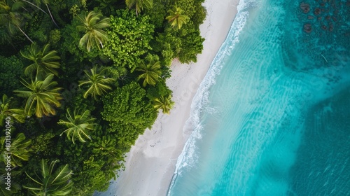 A stunning aerial photograph of a tropical beach with turquoise water, white sand, and lush palm trees.