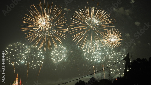 The colorful and beautiful fireworks show with the dark sky as background at night