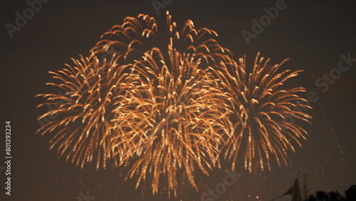 The colorful and beautiful fireworks show with the dark sky as background at night