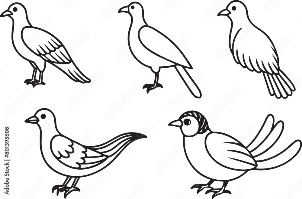 Set of hand drawn doodle pigeons. Vector illustration. Set of hand drawn doodle pigeons. Vector illustration.