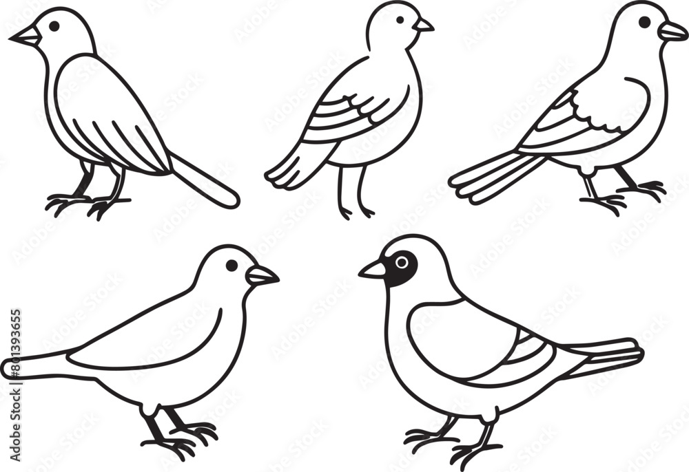 Set of birds in doodle style. Hand drawn vector illustration. Set of birds in doodle style. Hand drawn vector illustration.