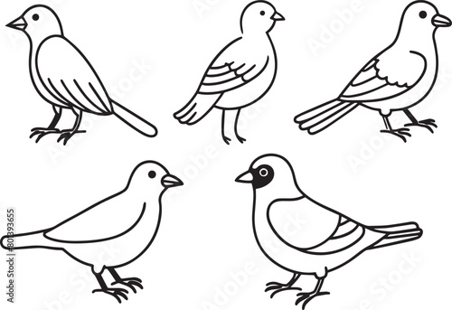 Set of birds in doodle style. Hand drawn vector illustration.